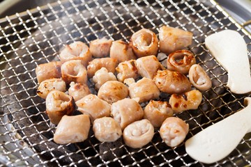  grilled Beef Entrails 