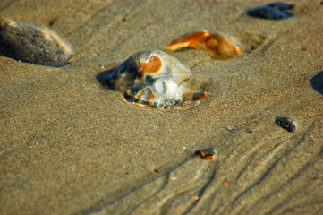 Beach sand and rocks