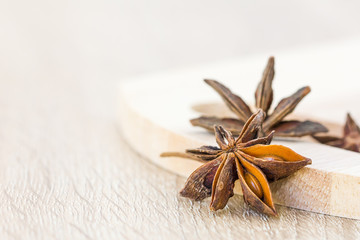 Close up Star anise seed on wood