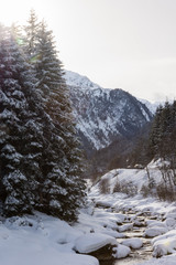 Winterlandschaft