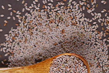 One  wooden spoon full of seeds of Indian plantain on a dark brown background