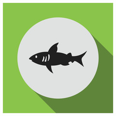 Shark vector icon
