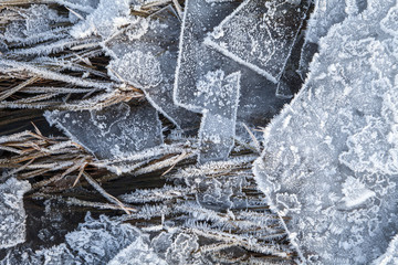 Frost and Ice Close Up