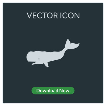 Whale vector icon