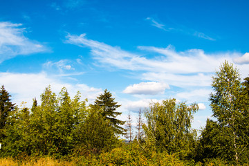 Fototapeta premium The sky and clouds on the sky