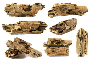 piece of tree trunk