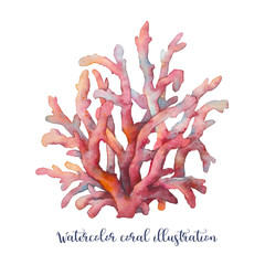 Fototapeta premium Watercolor coral illustration. Hand drawn isolated underwaterc branches on white background.