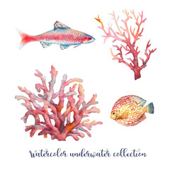Fototapeta premium Watercolor nautical set. Hand painted underwater objects: fishes and corals isolated on white background. Sea design elements