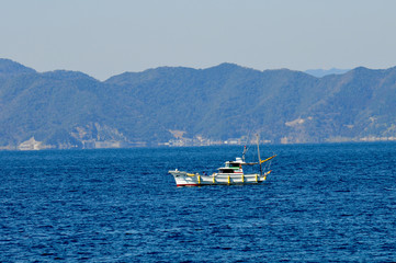 豊後水道河津桜まつり
