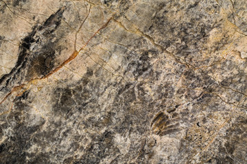 Natural brown marble background. Seamless natural marble pattern skin for wall tile ceramic.