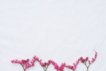 Pink coral vine budding flowers on white fabric background from top view with copy space