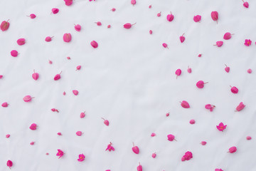 Pattern of pink coral vine flowers on white fabric background from top view with round copy space in the center