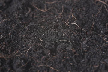 Closeup Soil nature texture in garden for background.