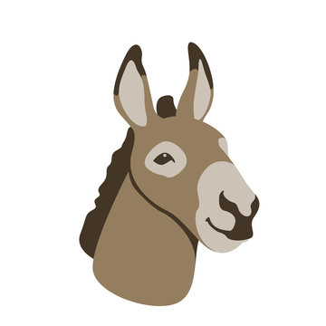 donkey head vector illustration style Flat