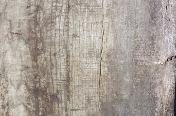 Fototapeta premium wood texture background 