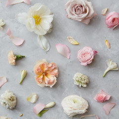 Composition of flowers on grey background