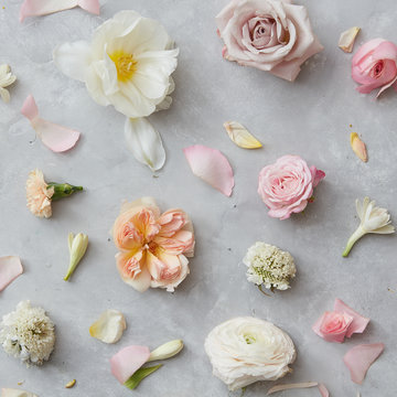 Fototapeta Composition of flowers on grey background