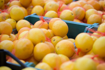 Oranges in boxes in the supermarket