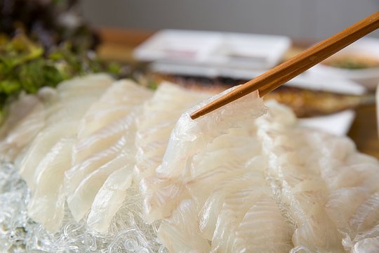 flatfish