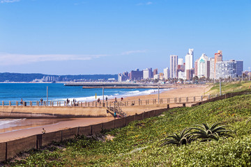 Vegetation Beach and Ocean Against Blue Sky  City Skyline