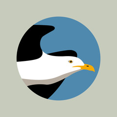 gull bird head vector illustration style Flat