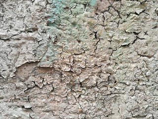 background wooden deteriorated