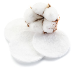 Obraz na płótnie Canvas Fluffy cotton ball (plant) and cotton pads.