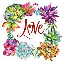 Wildflower succulentus flower frame in a watercolor style isolated.