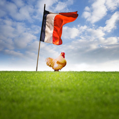 coq poulet ferme français élevage volaille viande oiseau chant label emblême symbole champ ciel campagne drapeau