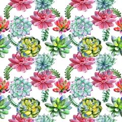  Wildflower succulentus flower pattern in a watercolor style isolated. © yanushkov