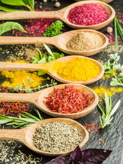 Assortment of colorful spices in the wooden spoons.
