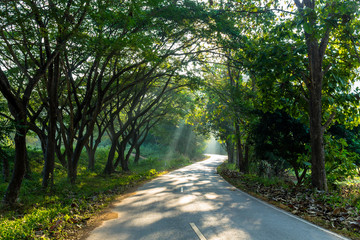 Green way