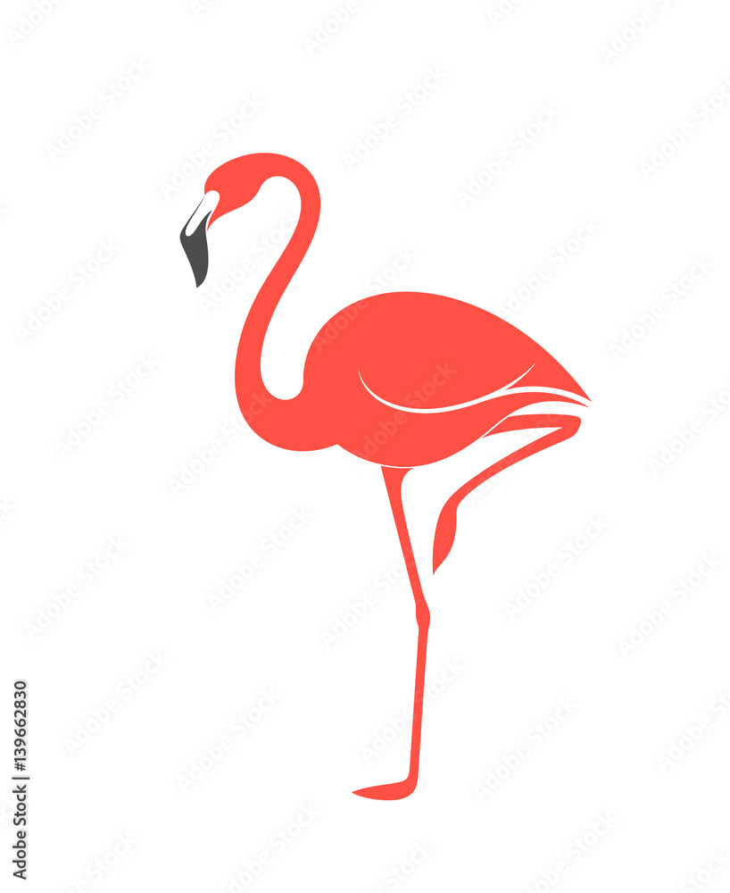 Poster Pink flamingo