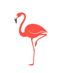 Pink flamingo