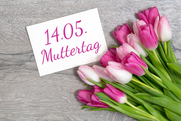 Obraz premium Tulpen zum Muttertag