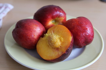 Nektarine - Prunus persica Independence