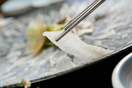 Fugu Bilder Durchsuchen 6,847 Archivfotos, und Videos