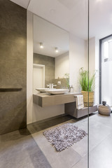 Stylish bathroom interior