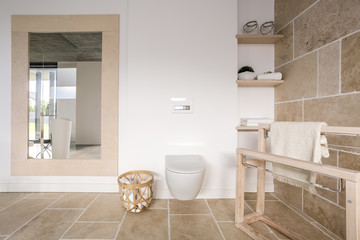 Spacious toilet interior