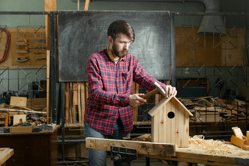 carpenter making wooden nest box