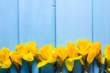 Spring easter background with daffodils, overhead