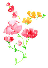Sprigs of pink and yellow flowers, isolated hand painted watercolor illustration in modern style (soft spots)
