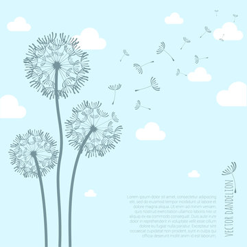 Vector dandelion silhouette