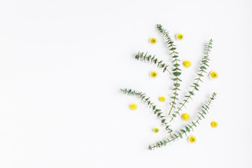 Flowers composition with fresh eucalyptus branches and yellow flowers. Easter, spring, summer concept. Flat lay, top view