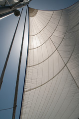 Backlit yacht or sailboat genoa or sail