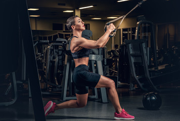 Obraz na płótnie Canvas Female doing workouts with trx suspension strips in a gym club.