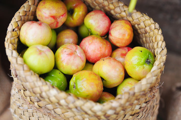 Fresh Malpighiaceae fruit or cherry in burlap sack