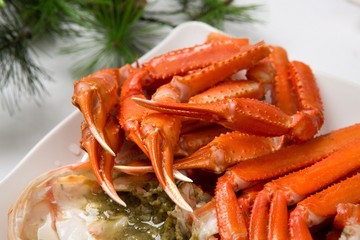 snow crab