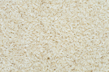 Borlotti rice background