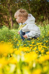 little girl on the dandelions meadow in spring day